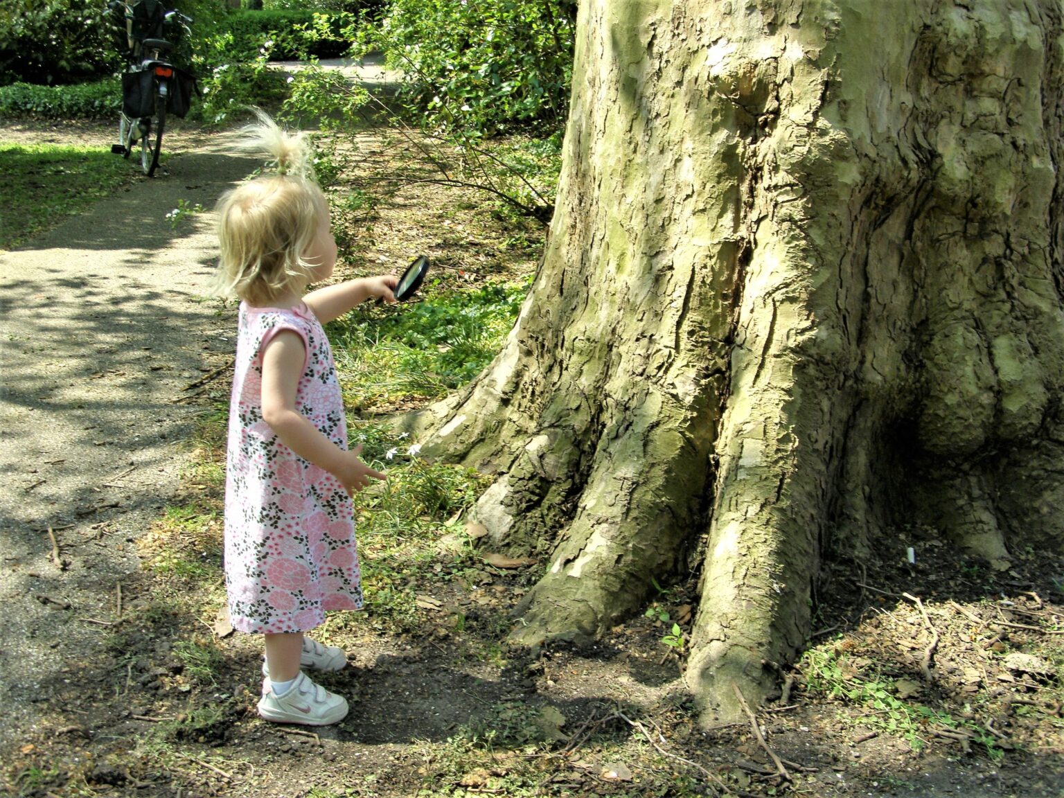 Bomenwandeling Purmerend op zaterdag 3 oktober -