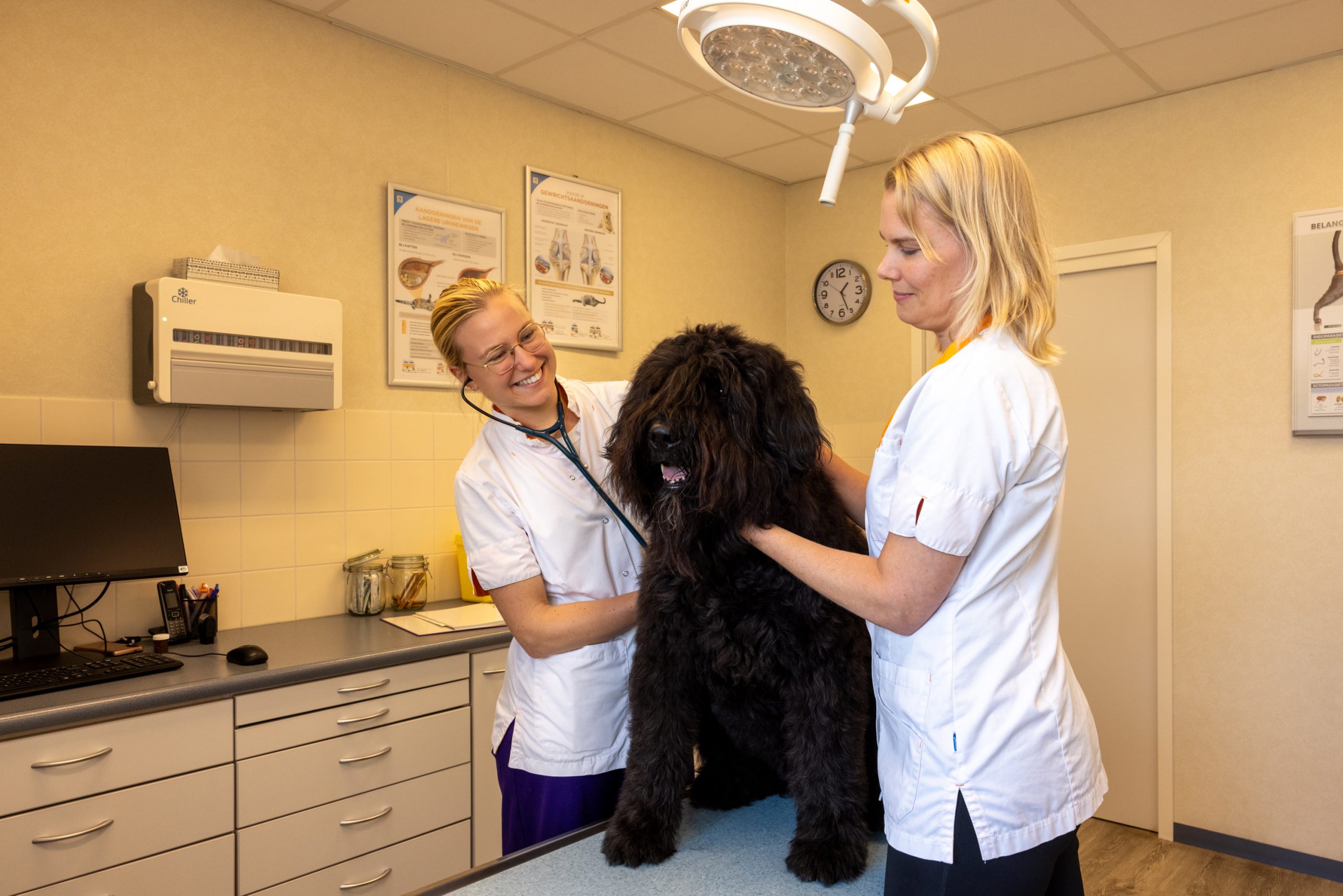 De deur staat open bij Dierenkliniek Stad & Land Volendam -