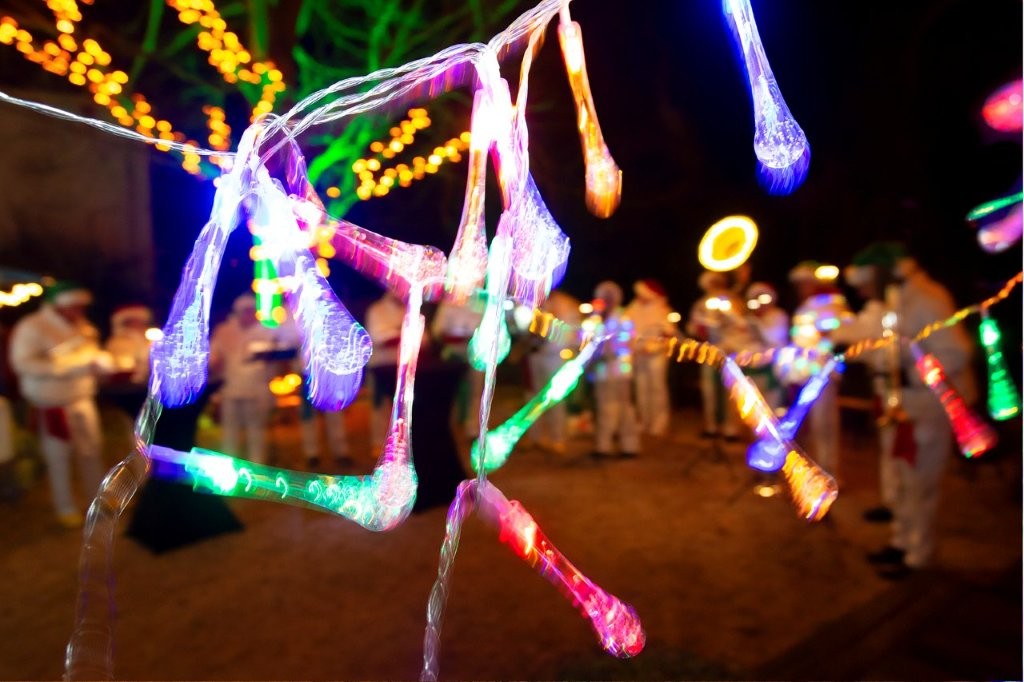 Lichtjesavond Edam zoekt jou! -